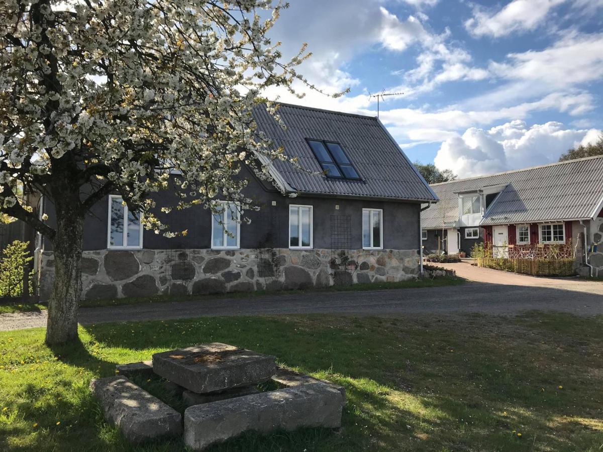 Cocoon Meetings Bed and Breakfast Degeberga Buitenkant foto