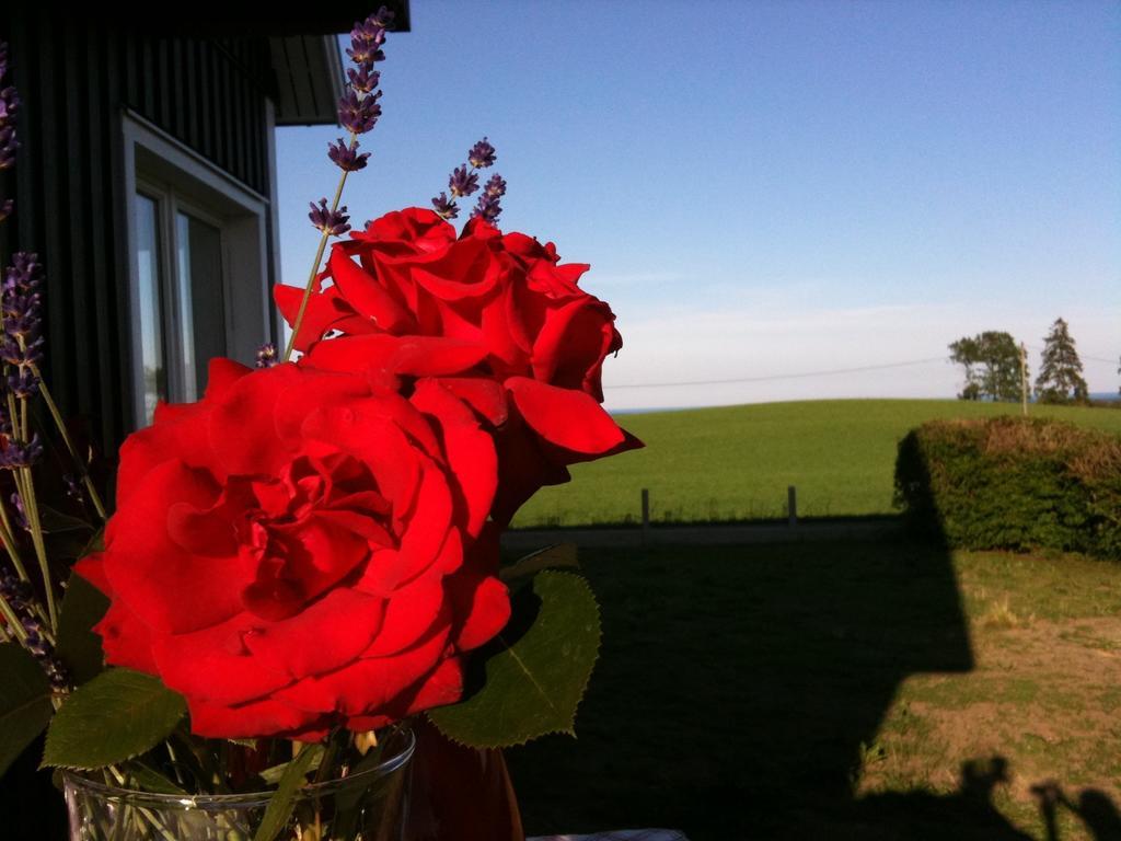 Cocoon Meetings Bed and Breakfast Degeberga Buitenkant foto